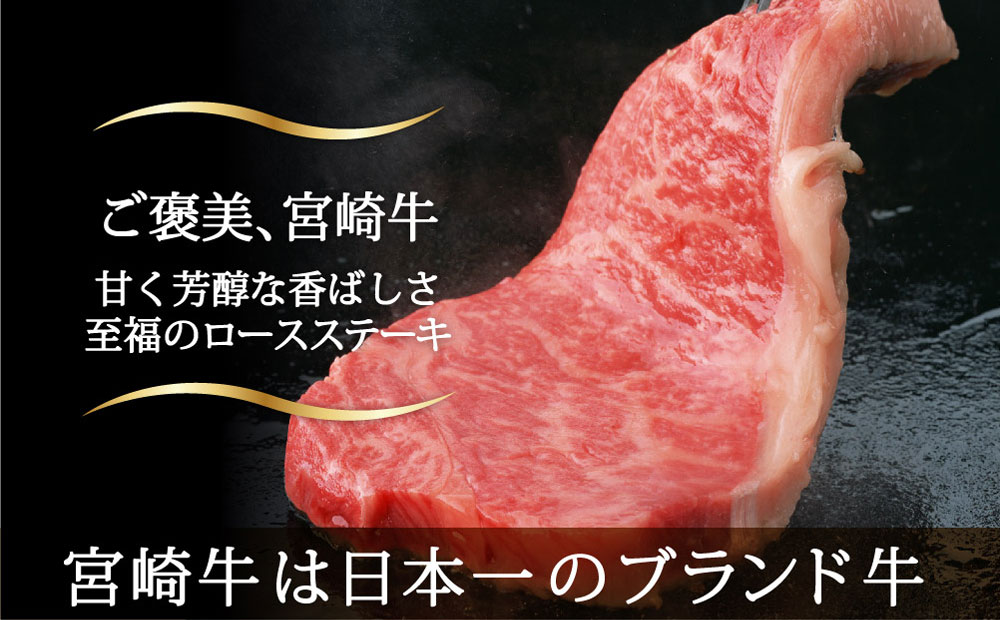 宮崎牛 ロース食べ比べステーキセット