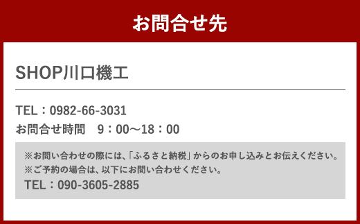 ウェイクボード 上級者コース 上級者 アクティビティ スポーツ体験