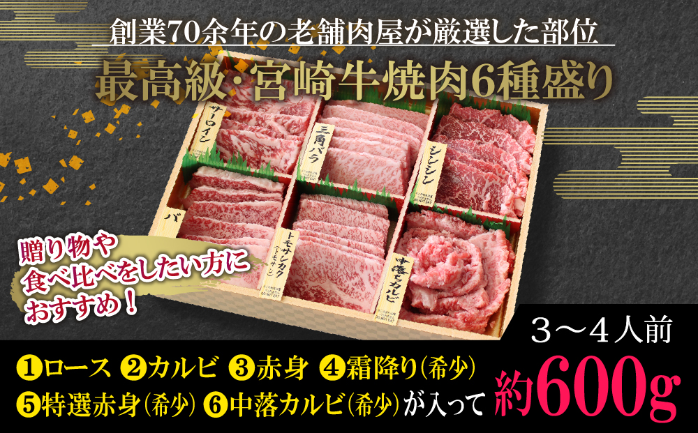 【宮崎牛】 特選 食べ比べ 焼肉 6種盛り 600g [SHINGAKI 宮崎県 美郷町 31ag0080] ロース カルビ 赤身 霜降り 特選赤身 中落カルビ 希少 冷凍 内閣総理大臣賞受賞 宮崎県産 九州産 送料無料 焼肉 BBQ バーベキュー キャンプ