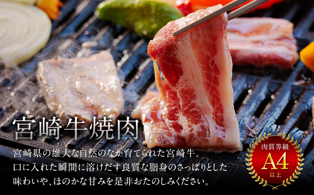 牛肉 焼肉 宮崎牛 ウデ モモ バラ 焼肉用 セット 各 400g 合計 1.2kg [ミヤチク 宮崎県 美郷町 31au0040] 冷凍 小分け 詰め合わせ BBQ バーベキュー 赤身 霜降り 肉 焼き肉 ウデ肉 バラ肉 モモ肉 にく