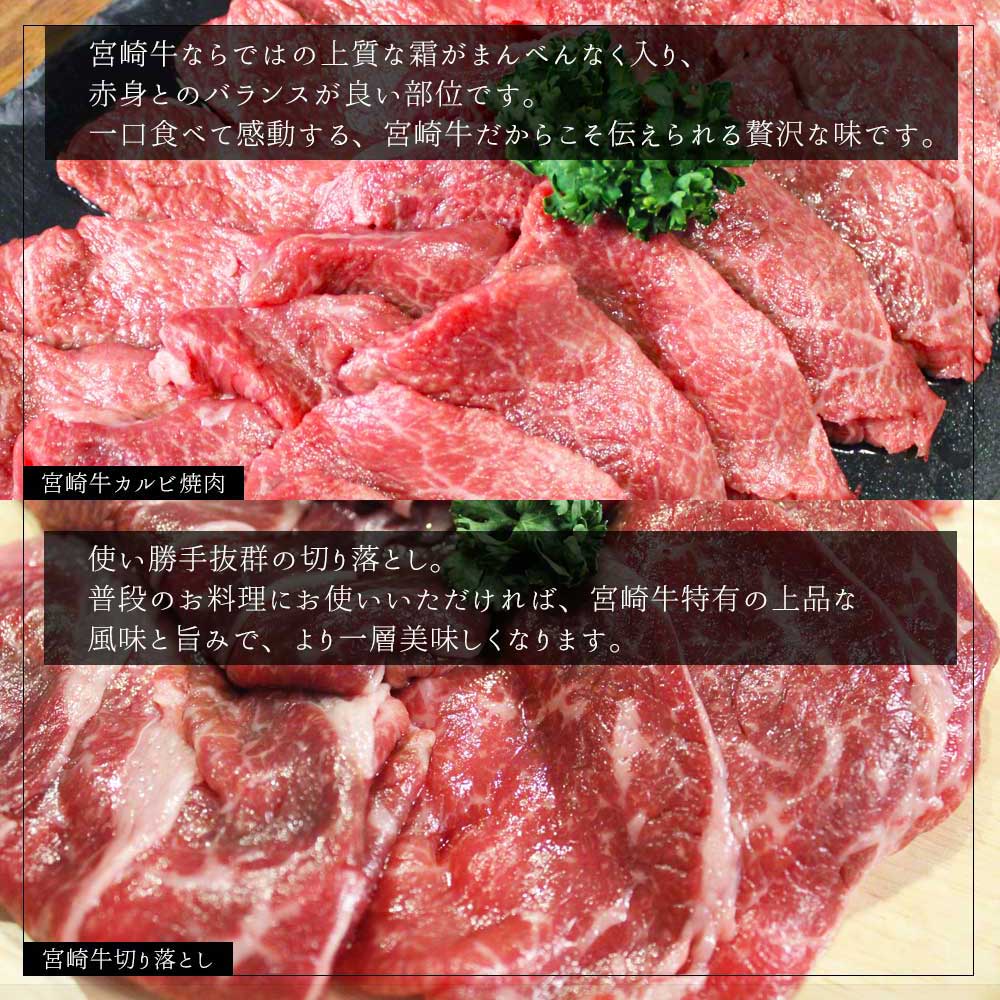 【宮崎牛】 宮崎県産 宮崎牛 カルビ 切り落とし セット 400g×2 計800g [レグセントジョイラー 宮崎県 美郷町 31bb0022] 冷凍 送料無料 国産 牛 肉 焼肉 バーベキュー BBQ 切落し 炒め物 A4 A5等級