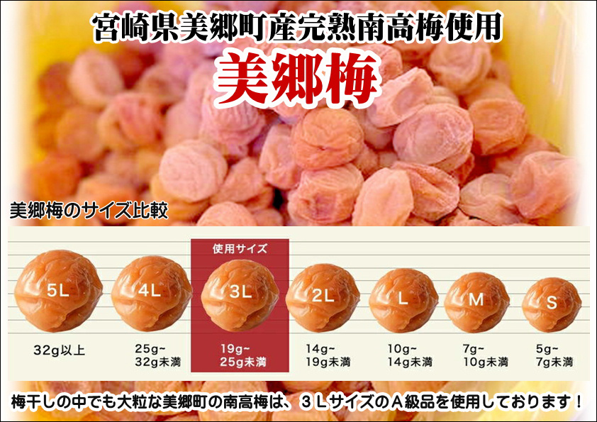 南高梅 梅干し 美郷梅 一粒入り うま味昆布 & シソ風味 各6粒 3Lサイズ A級品 化粧箱入り [農林産物直売所 美郷ノ蔵 宮崎県 美郷町 31ab0101] 国産 セット 詰め合わせ 宮崎県産 美郷産 常温 送料無料 贈答品 父の日 母の日 プレゼント ギフト