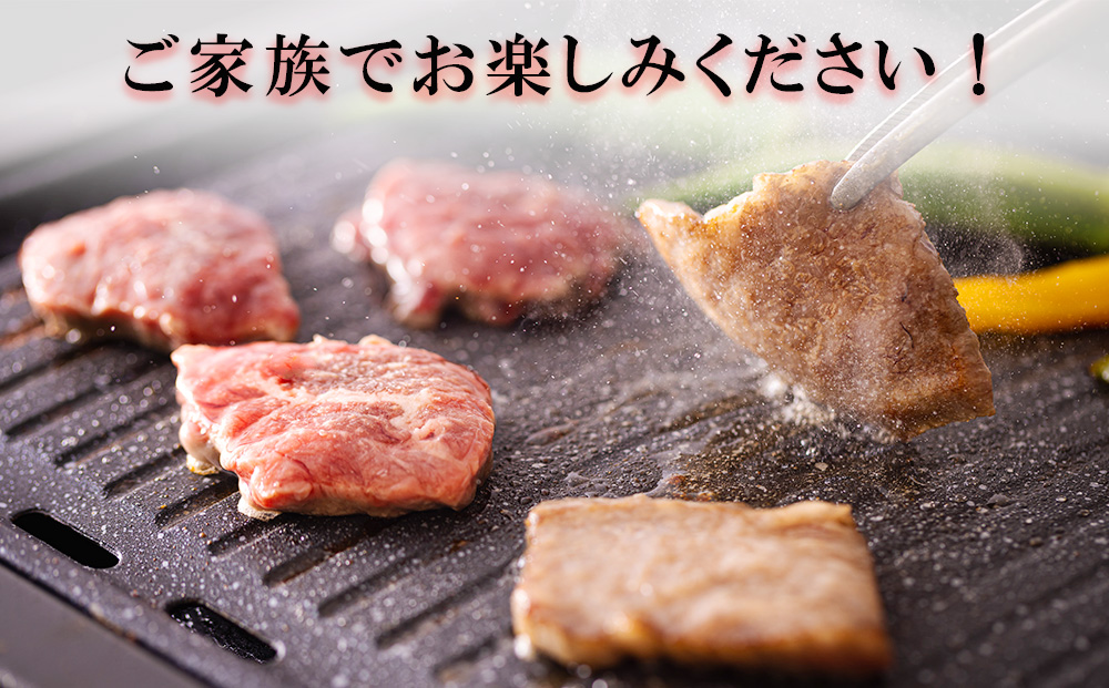 4回 定期便 宮崎県産 焼肉 セット 黒毛和牛 モモ カルビ 豚バラ 若鶏 モモ 合計4.8kg 各300g [サンアグリフーズ 宮崎県 美郷町 31ba0037] 小分け 冷凍 送料無料 国産 BBQ バーベキュー キャンプ 普段使い 炒め物 丼 カット 詰め合わせ 経産牛