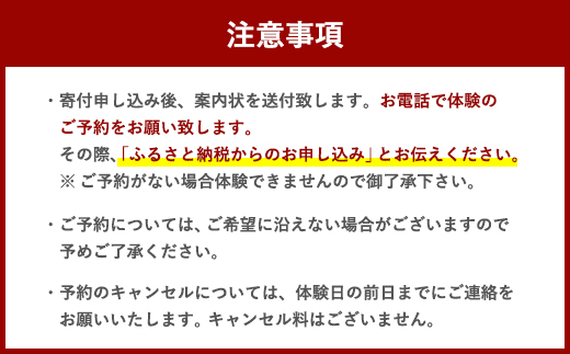 ウェイクサーフィン 1時間 体験 アクティビティ 体験チケット