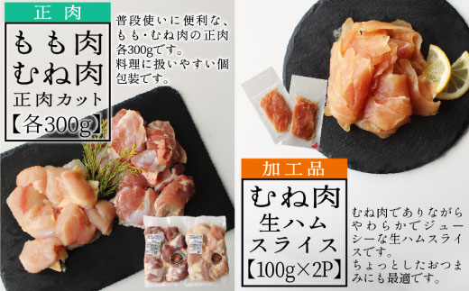 宮崎ブランド みやざき地頭鶏加工品・正肉セット(乙)