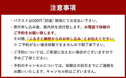 ウェイクボード 上級者コース 上級者 アクティビティ スポーツ体験