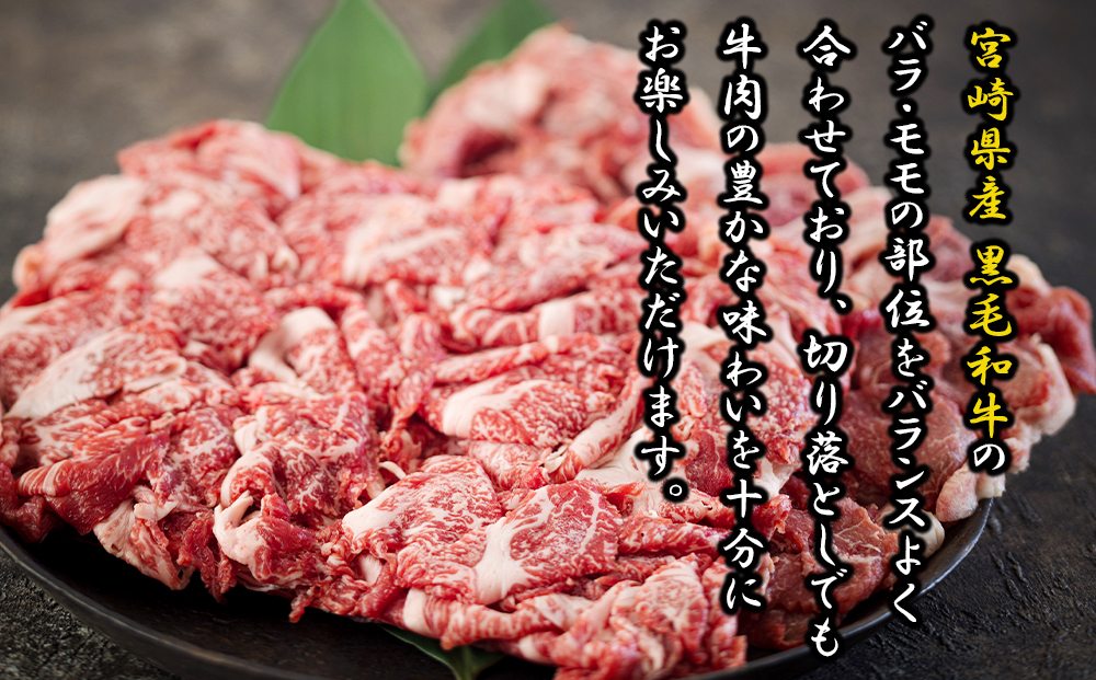 黒毛和牛 切り落とし 500g×2 計1kg [アグリ産業匠泰 宮崎県 美郷町 31be0023] 小分け 牛肉 切落し モモ バラ 牛丼 肉じゃが しぐれ煮 煮込み 炒め 焼肉 普段使い 調理 おかず 料理 国産 送料無料 パック 牛 すき煮 肉豆腐 甘辛煮 ハヤシライス すき焼き