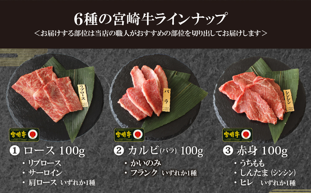 【宮崎牛】 特選 食べ比べ 焼肉 6種盛り 600g [SHINGAKI 宮崎県 美郷町 31ag0080] ロース カルビ 赤身 霜降り 特選赤身 中落カルビ 希少 冷凍 内閣総理大臣賞受賞 宮崎県産 九州産 送料無料 焼肉 BBQ バーベキュー キャンプ