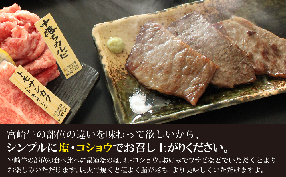 【宮崎牛】 特選 食べ比べ 焼肉 6種盛り 600g [SHINGAKI 宮崎県 美郷町 31ag0080] ロース カルビ 赤身 霜降り 特選赤身 中落カルビ 希少 冷凍 内閣総理大臣賞受賞 宮崎県産 九州産 送料無料 焼肉 BBQ バーベキュー キャンプ