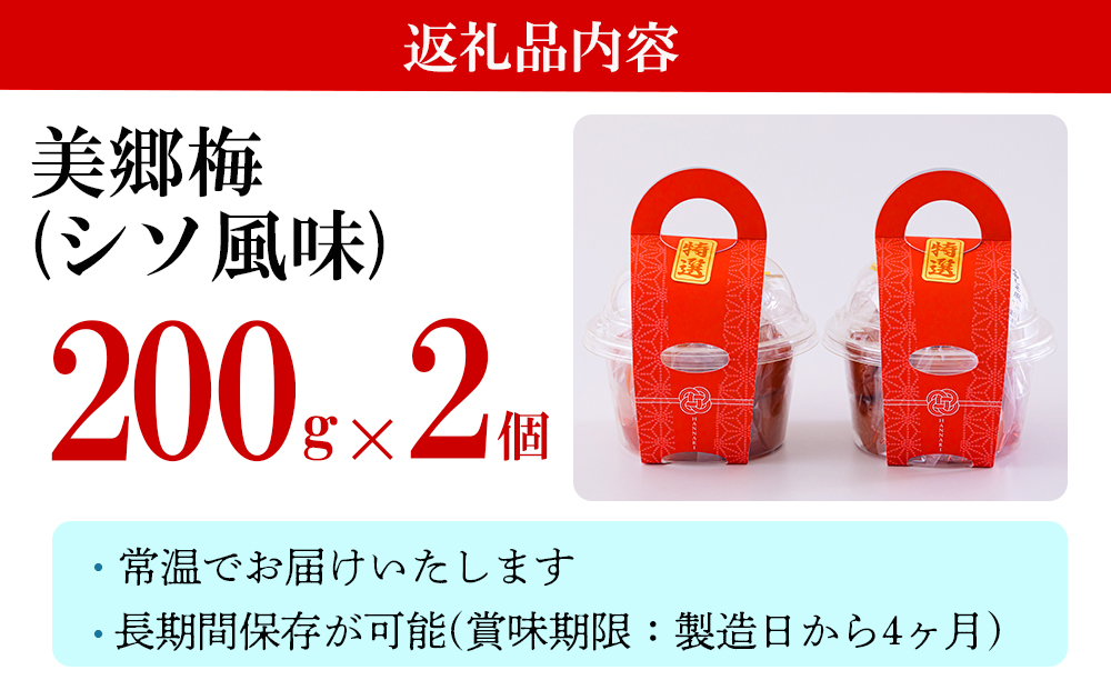 南高梅 梅干し 美郷梅 シソ風味 200g×2 3Lサイズ 塩分控えめ A級品 [農林産物直売所 美郷ノ蔵 宮崎県 美郷町 31ab0110] 国産 宮崎県産 美郷産 常温 送料無料 贈り物 贈答品 父の日 母の日 プレゼント ギフト 紫蘇 おやつ お菓子