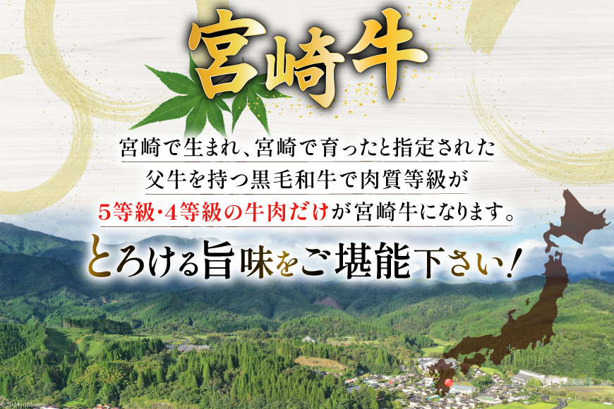 牛肉 宮崎牛 3種 食べ比べ 計1.1kg [ミヤチク 宮崎県 美郷町 31au0055] 黒毛和牛 冷凍 小分け 個包装 焼肉 牛肩ロース 牛ウデ 牛モモ