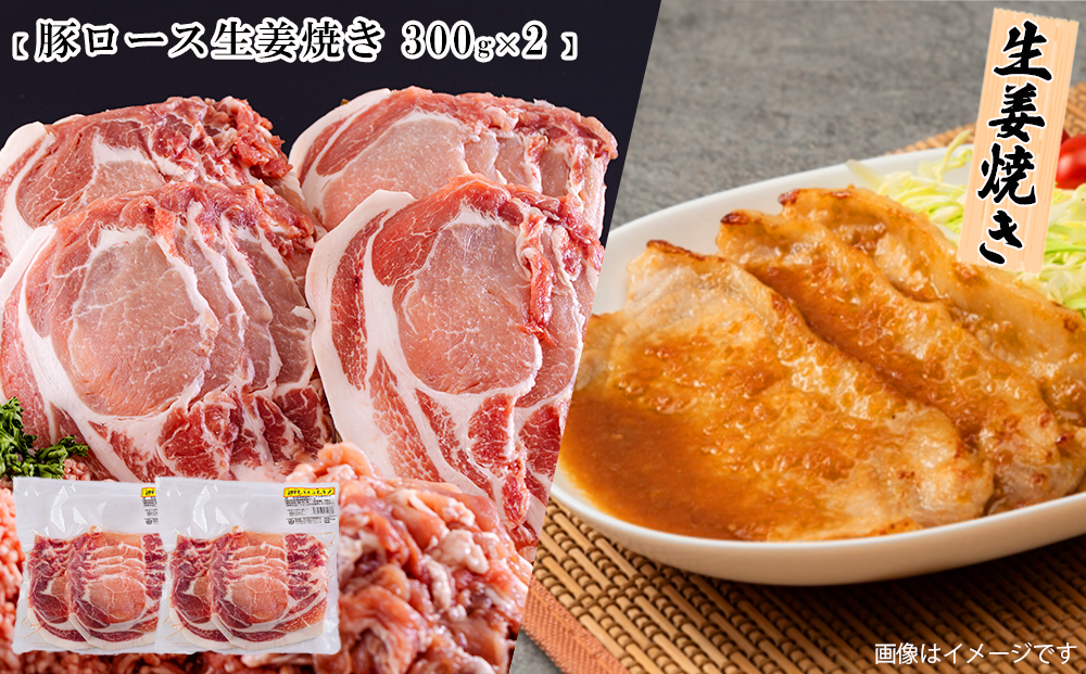 宮崎県産 豚肉 ３種 セット ひき肉 こま切れ ロース生姜焼き用 小分け 1.8kg 各300g×2袋 冷凍 宮崎県産 豚 肉 送料無料 炒め物 煮込み 豚丼 そぼろ丼 ハンバーグ 豚汁 キーマカレー 詰め合わせ 真空包装 挽き肉 ミンチ 小間切れ