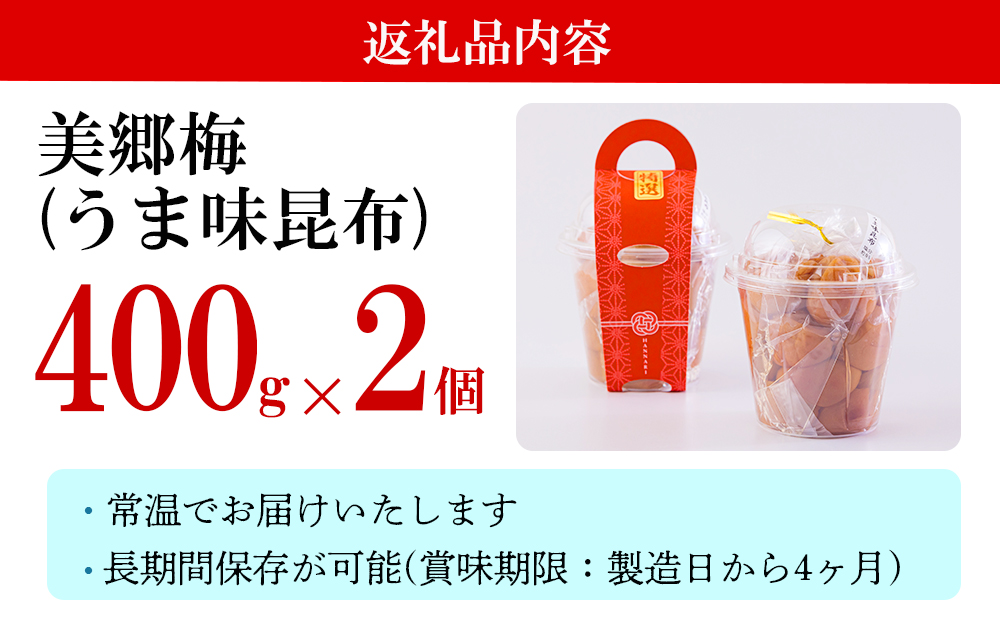 南高梅 梅干し 美郷梅 昆布 400g×2個 3Lサイズ 塩分控えめ A級品 [農林産物直売所 美郷ノ蔵 宮崎県 美郷町 31ab0112] 国産 宮崎県産 美郷産 常温 送料無料 贈答品 父の日 母の日 プレゼント ギフト 贈り物 おやつ お菓子 料理 調理 おかず 普段使い