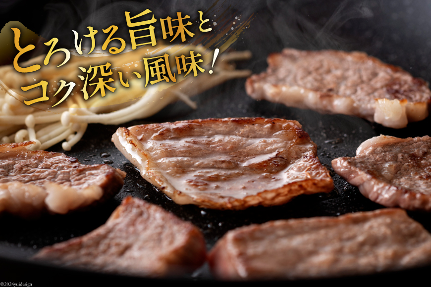 牛肉 定期便 宮崎牛焼肉セット 6ヶ月定期便 [ミヤチク 宮崎県 美郷町 31au0061] 冷凍 焼肉 小分け 個包装 牛 牛肩ロース 牛ウデ 牛モモ