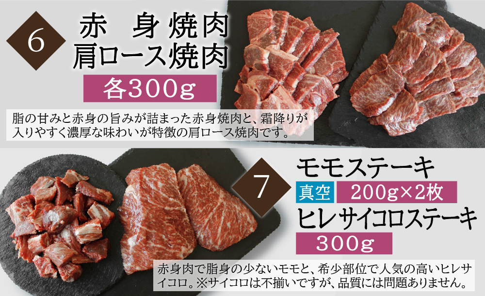 宮崎牛食べ比べ贅の極み9ヶ月コース 合計5.48kg 【定期便】