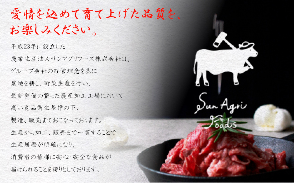 豚肉 6回 定期便 宮崎県産 豚バラ しゃぶしゃぶ 切り落し 計 9kg 500g ×3p×6回 [サンアグリフーズ 宮崎県 美郷町 31ba0048] 小分け 冷凍 宮崎 国産 薄切り セット