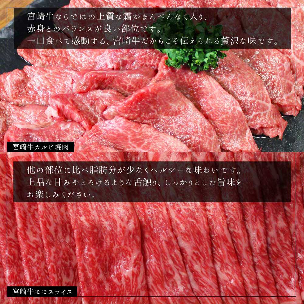 【宮崎牛】 カルビ焼肉・しゃぶしゃぶ セット 計800g [レグセントジョイラー 宮崎県 美郷町 31bb0021] 牛肉 カルビ 焼肉 しゃぶしゃぶ 黒毛 和牛 国産 宮崎 A4 A5等級