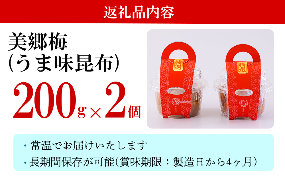 南高梅 梅干し 美郷梅 昆布 200g×2 3Lサイズ 塩分控えめ A級品 [農林産物直売所 美郷ノ蔵 宮崎県 美郷町 31ab0109] 国産 宮崎県産 美郷産 常温 送料無料 贈答品 父の日 母の日 プレゼント ギフト おやつ お菓子 料理 調理 おかず