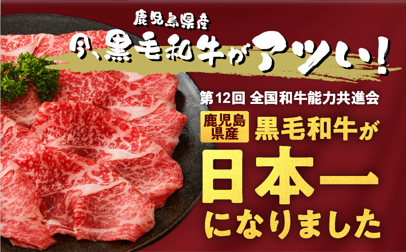 【岩元精肉店】鹿児島県産黒毛和牛ヒレステーキ5枚（600g）6ヵ月お届けコース　K045-T05