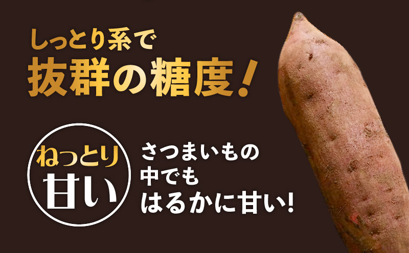 【全5回】【畑の金貨】焼き芋紅はるか3kg 定期便　K181-T02