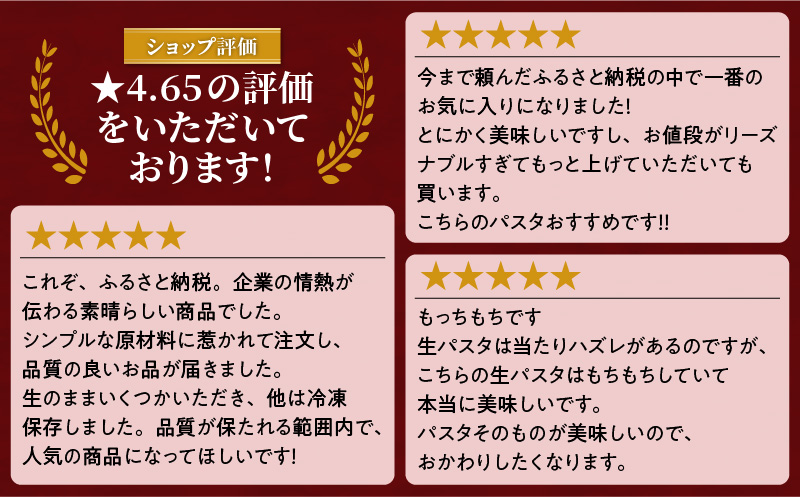 【3ヶ月定期便】生フェットチーネ10個 お手軽ソース1個付き　K036-T13