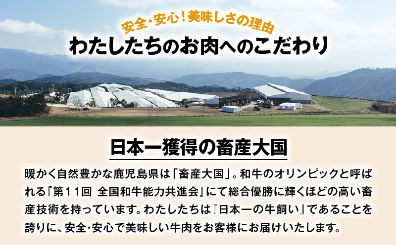 A5鹿児島黒毛和牛希少部位ステーキセット600g　K002-003