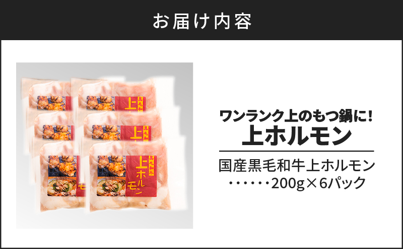 ワンランク上のもつ鍋に！小腸1.2kg（ホルモン）　K002-004