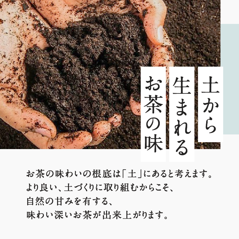 【新茶】【2024年6月30日までの申込限定】鹿児島特上深蒸し煎茶　彩緑天　3本セット　K112-002_shincha