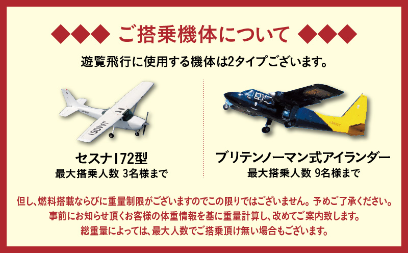 【夜間遊覧飛行】鹿児島市内ナイトコース　セスナ式172型（大人3名まで）　K222-FT005