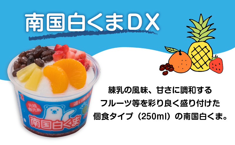 セイカ食品　南国白くまDX詰め合わせセット　K051-002