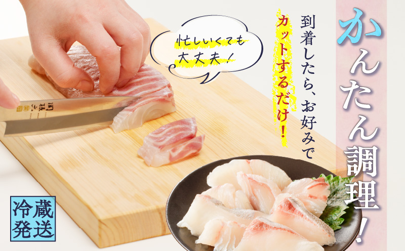 鹿児島産　スライスするだけ！真鯛（マダイ）刺身用 片身分 500g　K100-008