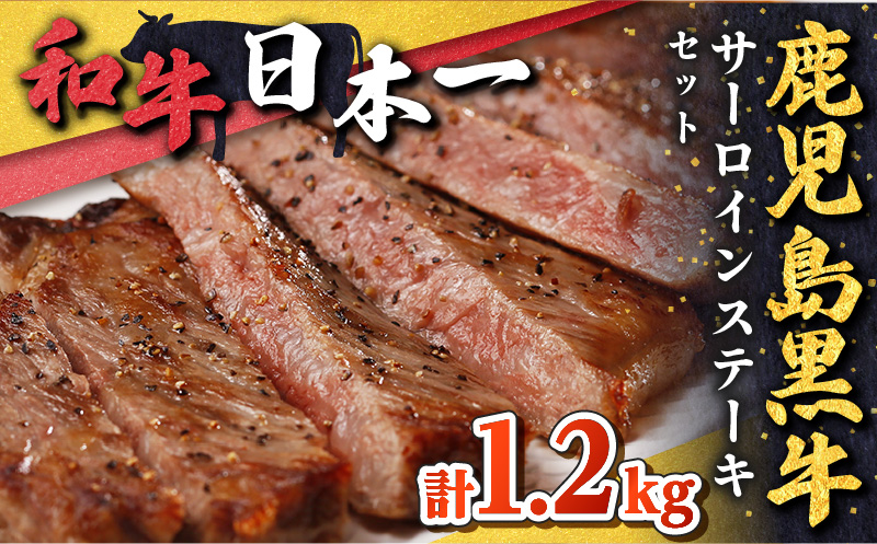 鹿児島黒牛サーロインステーキセット（計1.2kg）　K127-011