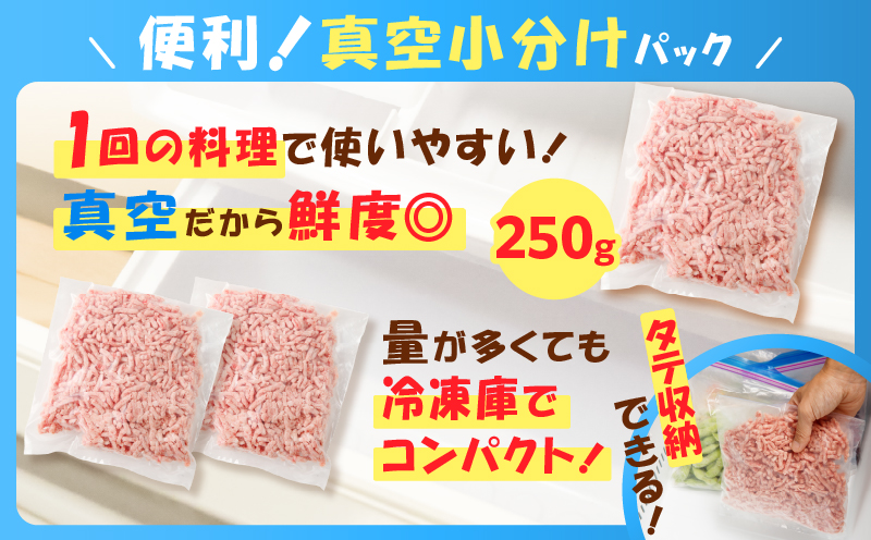 鹿児島県産 黒豚ミンチ 500g　K025-013_01