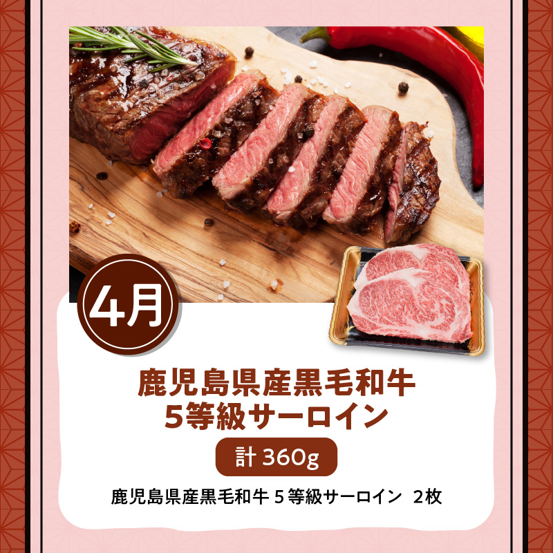 【全5回】鹿児島県産黒毛和牛ステーキ食べ尽くし定期便　K000-T2308