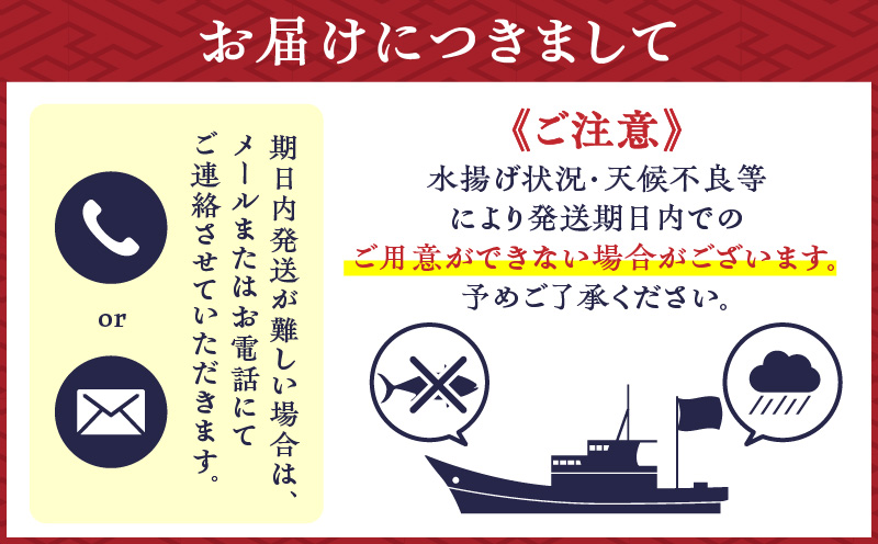 鹿児島産　スライスするだけ！カンパチ刺身用 1/4本 3〜4人前　K100-006