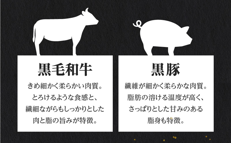 【肉旅】鹿児島県産黒毛和牛＆黒豚入り手ごねハンバーグ8個入　K235-001_01