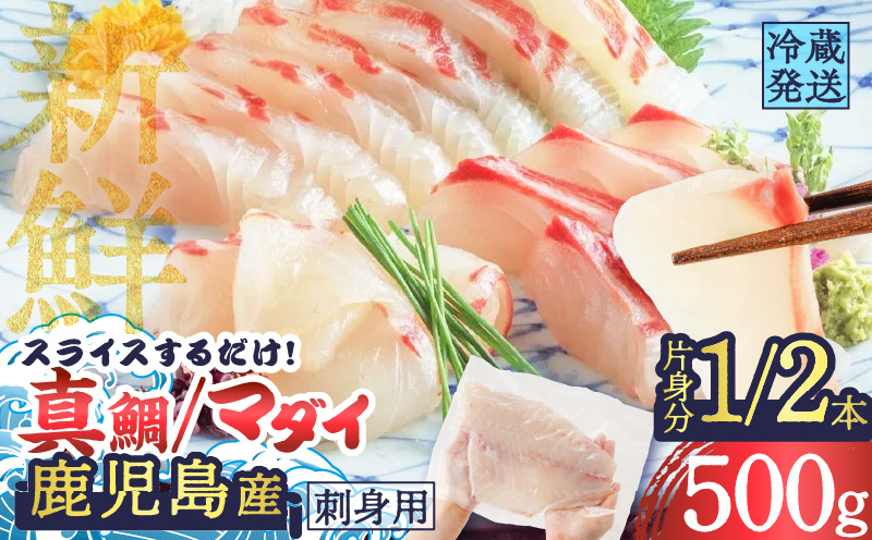 鹿児島産　スライスするだけ！真鯛（マダイ）刺身用 片身分 500g　K100-008