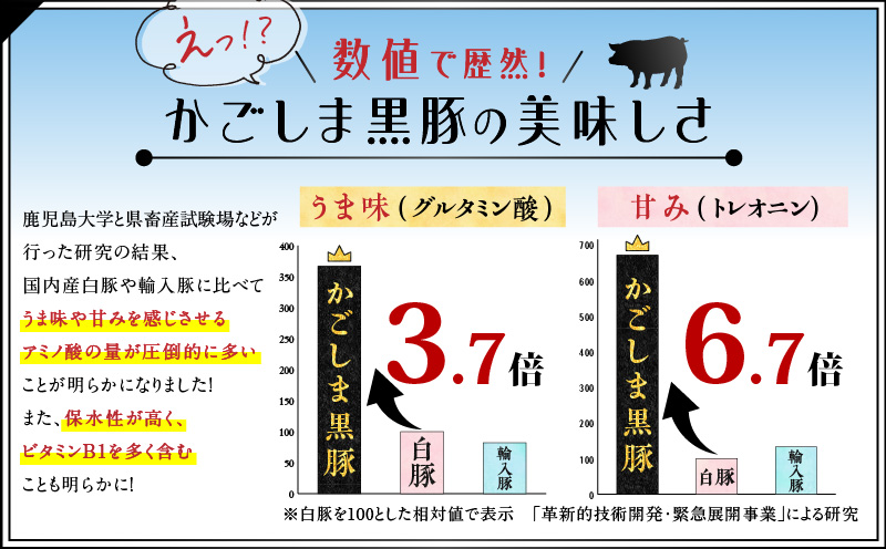 鹿児島黒豚しゃぶしゃぶセット600g　K025-007_01