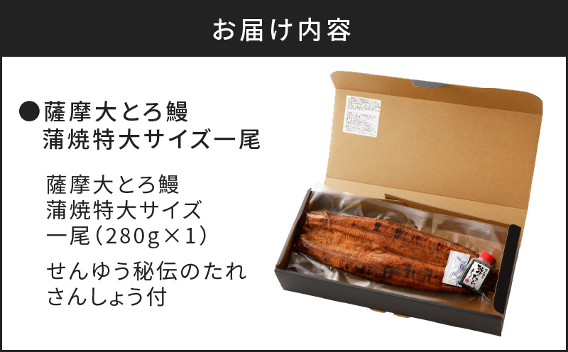 薩摩大とろ鰻蒲焼特大サイズ一尾　K190-002