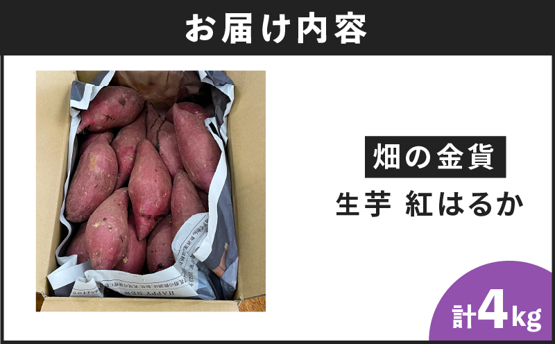畑の金貨　生芋　紅はるか4kg　K181-006
