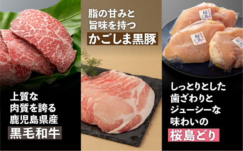 【岩元精肉店】鹿児島県産精肉 厳選4か月お届けコース　K045-T04