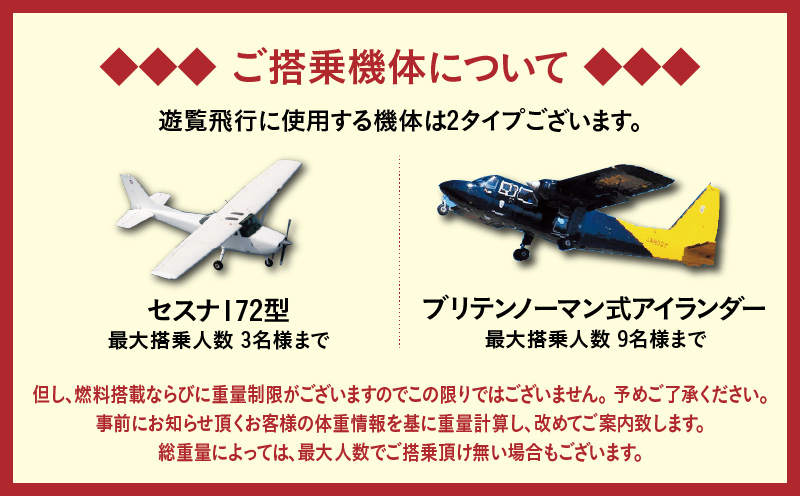 【夜間遊覧飛行】鹿児島市内ナイトコース セスナ式172型（大人3名まで）　K222-FT005