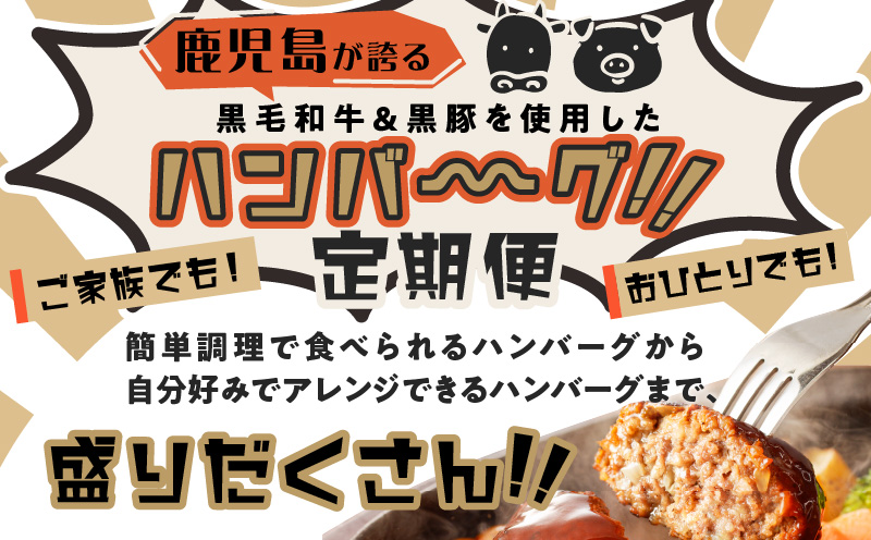 【全6回】鹿児島県産黒毛和牛・黒豚ハンバーグ定期便　K000-T2316