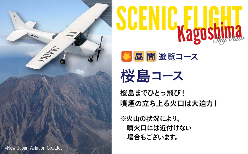【昼間遊覧飛行】桜島コース　セスナ式172型（大人3名まで）　K222-FT001