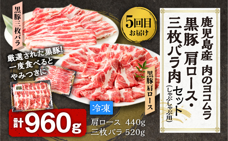 【全5回】一家に一肉！鹿児島の万能お肉定期便　K000-T2326