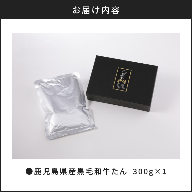 【洋食グリル肝付】自慢の鹿児島県産黒毛和牛タン　レトルトシチュー　K084-002