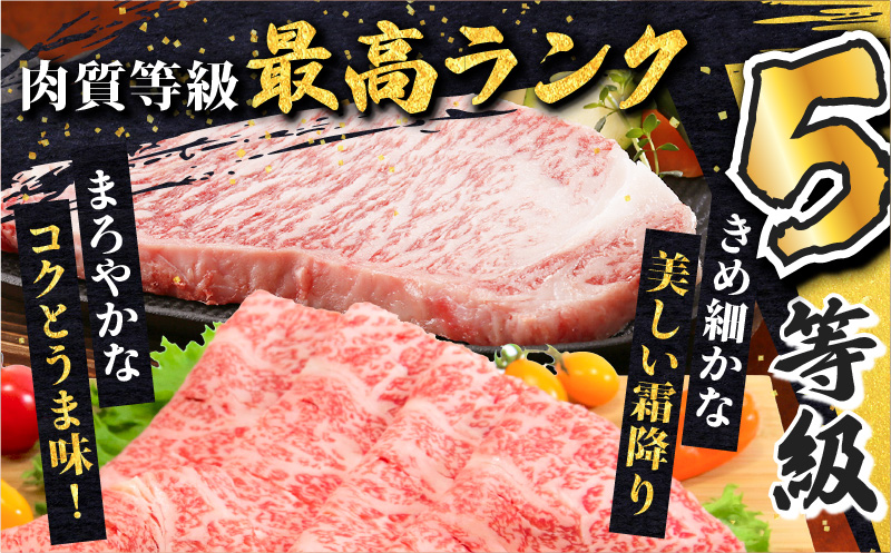 鹿児島黒牛サーロインステーキ・すきやきセット（計1.4kg）　K127-010