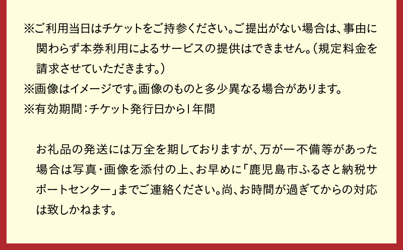 【昼間遊覧飛行】鹿児島満喫コース（桜島＋鹿児島市内）　ブリテンノーマン式BN2B型（大人9名まで）　K222-FT008