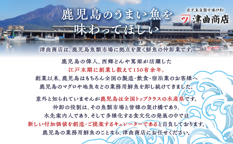 鹿児島産　スライスするだけ！カンパチ刺身用 1/4本 3〜4人前　K100-006