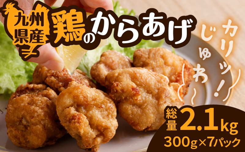 九州県産鶏の唐揚げ　K277-002